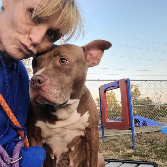 Meet your Posher, Lisa - Picture 8 of 8